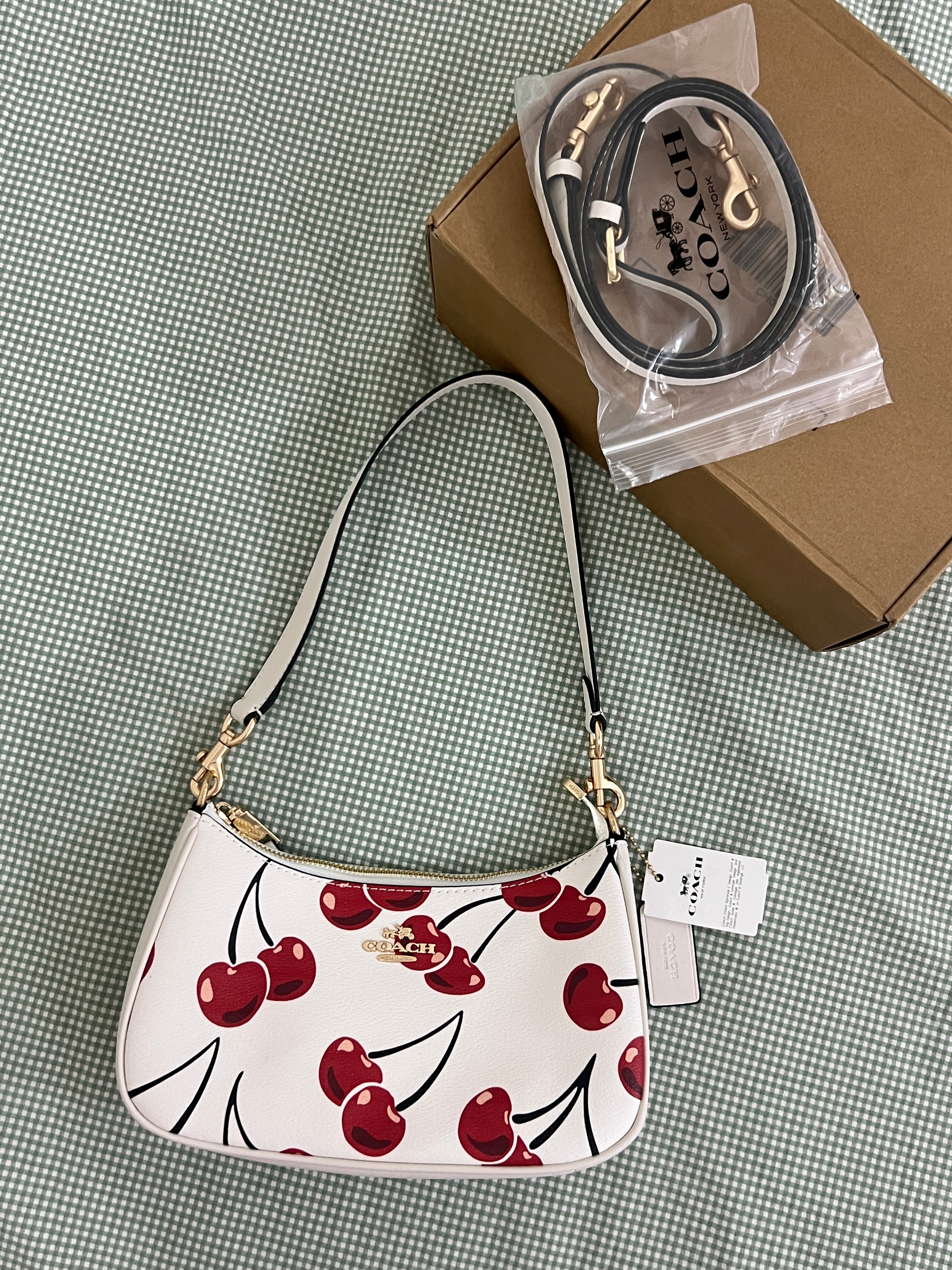 Coach Teri Shoulder Bag (with Box and  long strap)