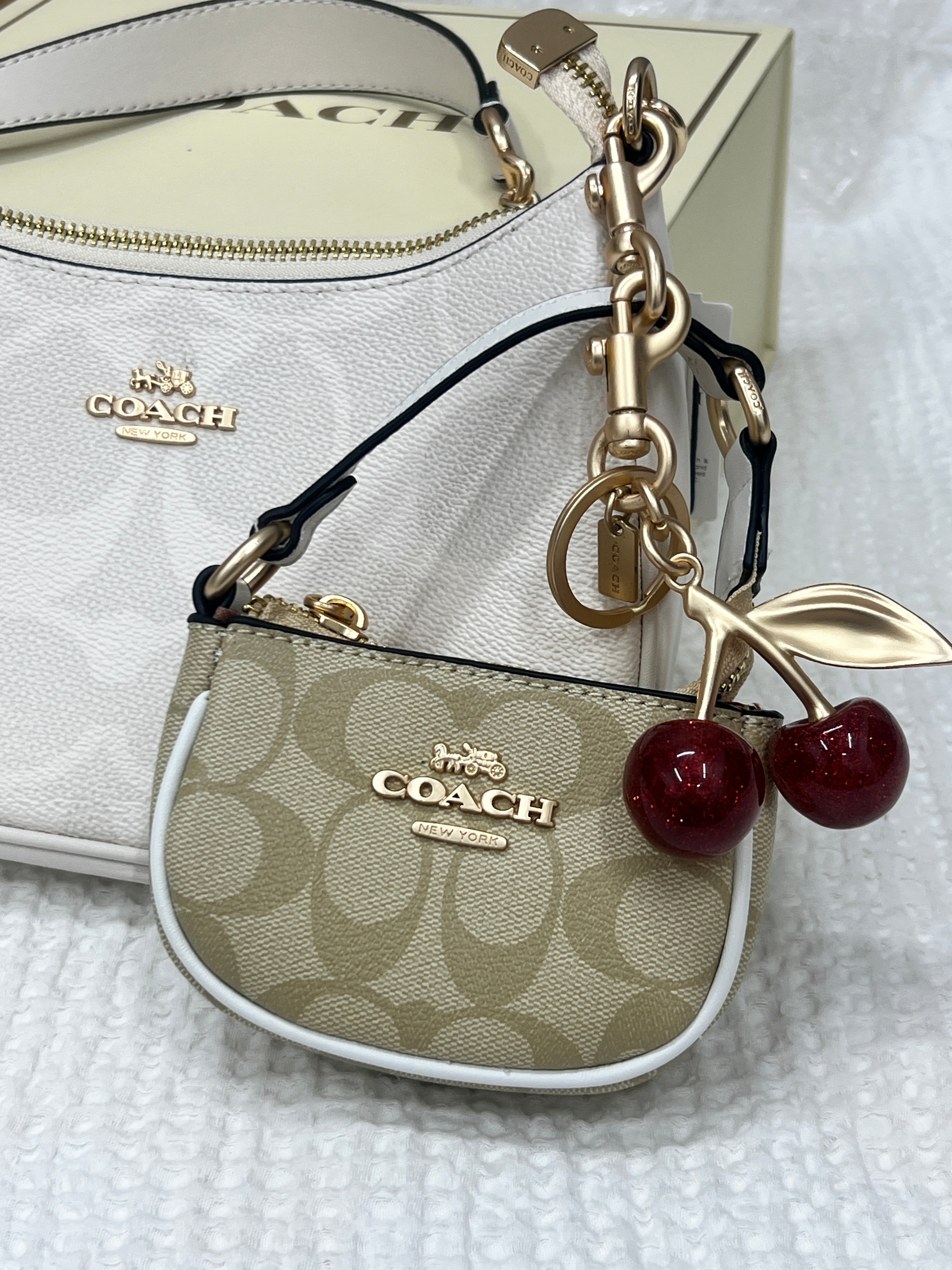 Coach inspired wallet